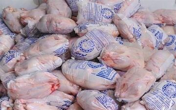 قیمت مرغ کاهش یافت
