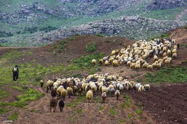 اقامتگاه بوم‌گردی سرماج دارای ظرفیت‌های بالای گردشگری در ابعاد تاریخی، طبیعی و فرهنگی 