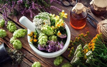  گیاهان خواب آور؛ بی‌خطر و فوق العاده موثر / قوی‌ترین‌ها را بشناسید