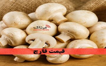 قیمت قارچ امروز شنبه ۱۹ مهر ۱۴۰۴ |نوسان تازه در بازار قارچ