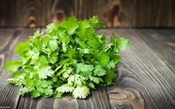 خواص درمانی گشنیز  برای گوارش