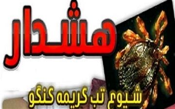  موج جدید «تب کریمه کنگو» با ۵ قربانی/ مردم از مراکز مجاز گوشت بخرند