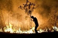 آتش سوزی منطقه حفاظت شده کوه دیل گچساران مهار و در حال پایش است