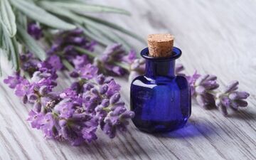 فواید بی نظیر روغن اسطوخودوس را بشناسید