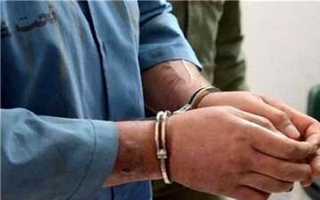 راننده هتاک به مادر کودک اوتیسمی بازداشت شد