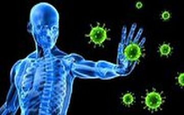 شیوع آبله میمونی وضعیت اضطراری جهانی است