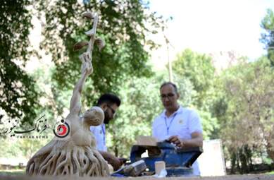 گزارش تصویری رویداد منطقه‌ای روز‌ جهانی‌چوب 2022 در محوطه تاریخی بیستون