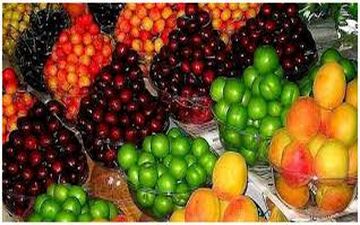 آیا میوه را با معده خالی باید بخوریم؟