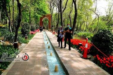  باغ ایرانی  بوستان  لاله های رنگین 