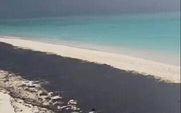 سیاهی بر چهره نگین خلیج فارس؛ آلودگی گسترده نفتی در سواحل لاوان