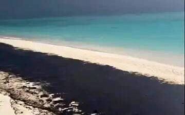 سیاهی بر چهره نگین خلیج فارس؛ آلودگی گسترده نفتی در سواحل لاوان