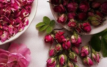 خواص و مضرات گل محمدی