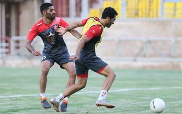 گل محمدی خواهان تمدید قرارداد با مدافع مصدوم پرسپولیس شد