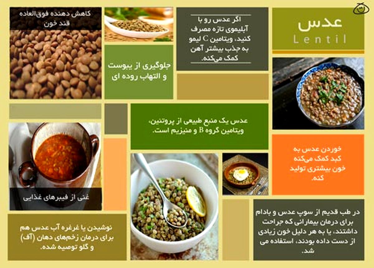 در مورد خواص و مضرات عدس چه میدانید؟ | بیا اینجا تا بهت بگم!