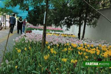 گزارش تصویری از پیاده راه لاله برای مادران 