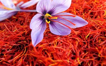 اتفاقی که بعد از اضافه کردن زعفران به غذا برای ما می‌افتد
