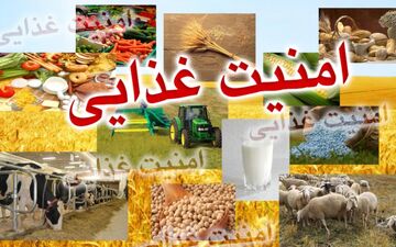 برخلاف نظر تحریم کنندگان، مشکلی در تامین مواد غذایی نداریم