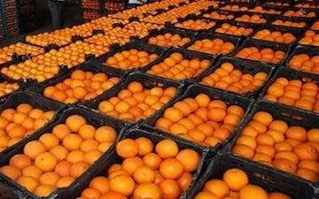  فعلا پرتقال قرمز نخورید