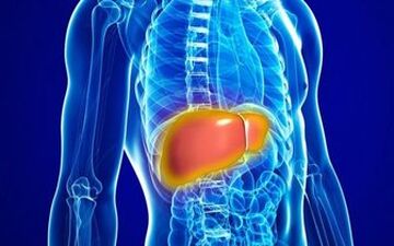  ۸ خوراکی طبیعی برای پاکسازی کبد