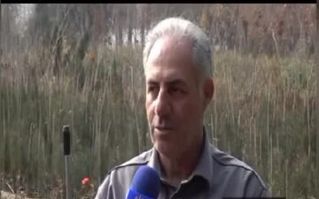 ظرفیت تولید یک میلیارد نهال گلدانی در نهالستان‌های کشور/ سامانه رصد و پایش تولید و کاشت درخت اسفند ماه راه‌اندازی می‌شود