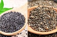 تفاوت دانه چیا و تخم شربتی؛ کدوم واسه شما مفیدتره؟