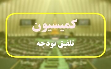  وکلا و پزشکان موظف به استفاده از دستگاه پوز شدند/ شیوه محاسبه مالیات خودرو مشخص شد 