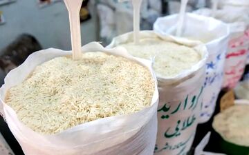 کشف 9 تن برنج احتکار شده در اردبیل