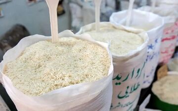 تورم ۲۰۰درصدی برنج در یکسال
