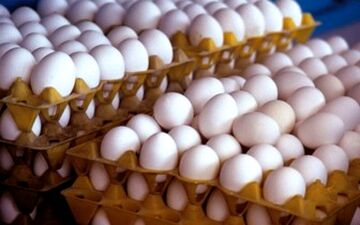 ثبات نرخ تخم مرغ در بازار