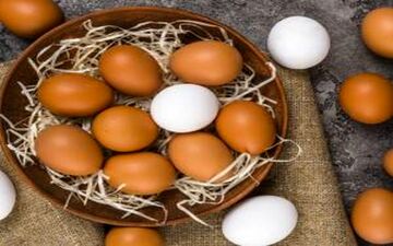  آیا شستن تخم مرغ درست است؟