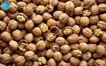 گردوی خوب را چگونه تشخیص دهیم؟

