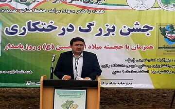 
ضرورت فرهنگ سازی کاشت ‌نهال‌های مثمر‌ در استان کرمانشاه/ توجه به فضای سبز در ساخت‌وسازهای جدید ضروری است
