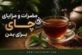 چای چه تأثیری بر بدن دارد؟ از فواید قلبی تا عوارض کم‌خونی و بی‌خوابی