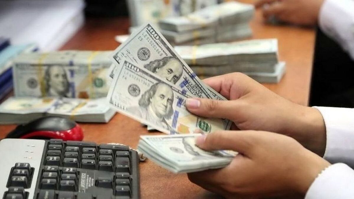 آخرین وضعیت بازار ارز؛ قیمت رسمی دلار مشخص شد