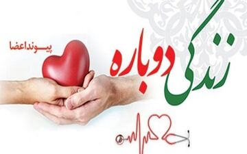 سقوط سیمبانی که روشنایی را به خانه‌ها هدیه داد