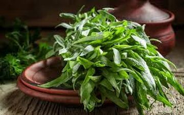 خواص ترخون برای سلامتی!