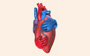 تأثیر رژیم غذایی سالم بر کاهش خطر سکته قلبی