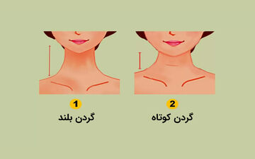 رابطه طول گردن و ویژگی های شخصیتی شما! | طول گردن چه ویژگی هایی را آشکار میکند ؟