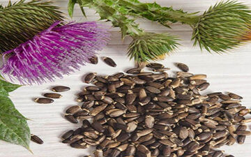 اگر بیماری های کبدی و صفراوی دارید این گیاهان را مصرف کنید