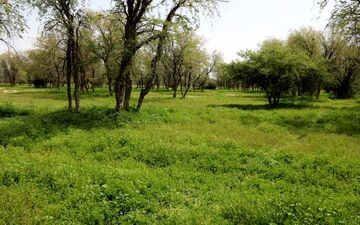 ۱۰۰ پرونده زمین خواری طی یک سال در کمیسیون اصل ۹۰ مجلس بررسی شد