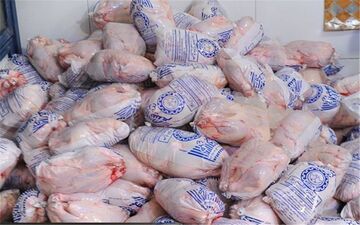 توزیع بدون محدودیت مرغ ۴۵ هزار تومانی در میادین میوه و تره بار