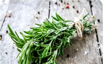 با این گیاه از خستگی و بی‌حالی خداحافظی کنید