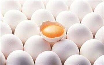 افزایش دوباره قیمت مرغ و تخم مرغ