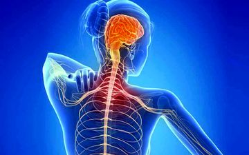 علائم هشداردهنده ام اس و رویکرد طب سنتی برای درمان: از تغییرات غذایی تا آرامش روحی
