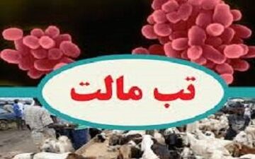هشدار؛ لبنیات سنتی مصرف نکنید