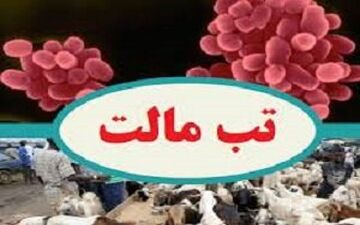 هشدار؛ لبنیات سنتی مصرف نکنید