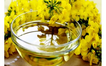 این روغن موجب کاهش چربی دورشکمی می شود