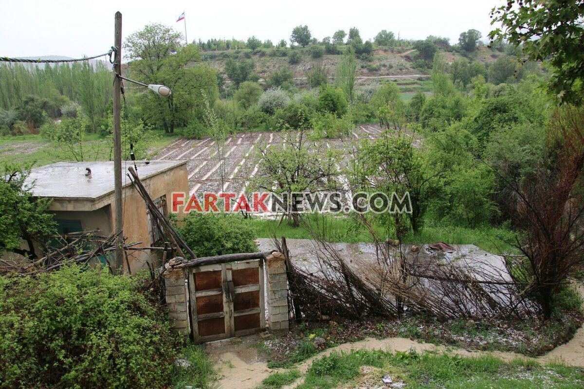 تگرگ در گهواره