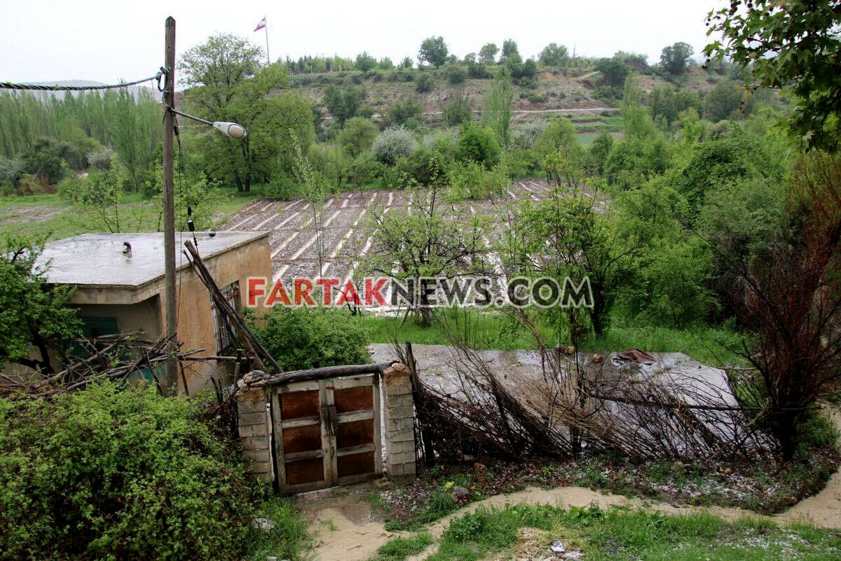 تگرگ در گهواره