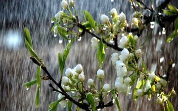 آب‌وهوای خنک و باران در راه گیلان